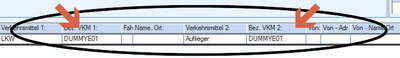 DUMMY VKM.png